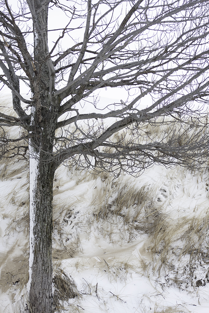 April 2026 - Marti Buckely