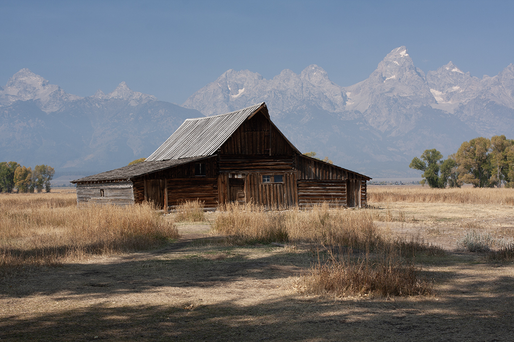 November 2025 - Marti Buckely