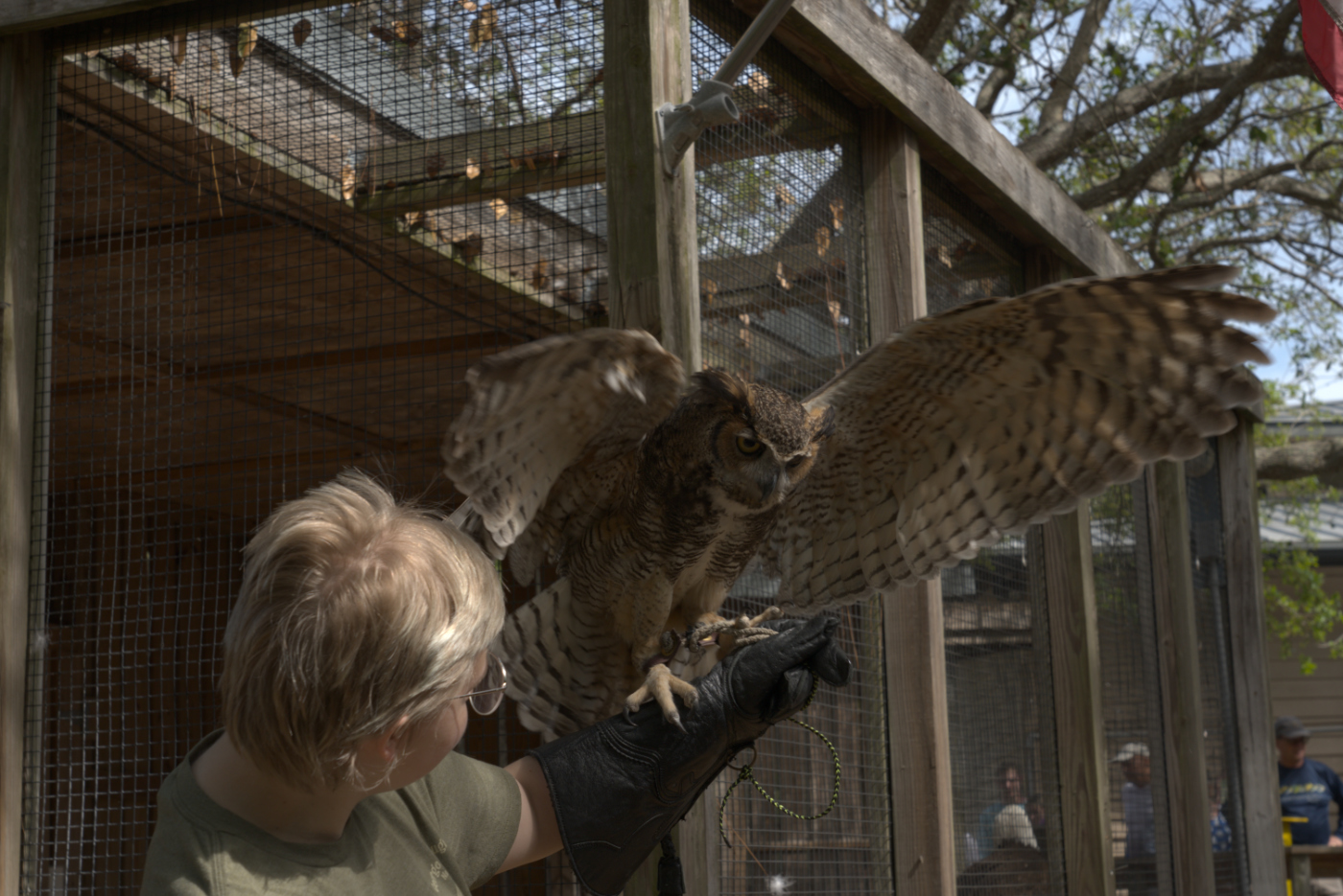 April 2026 - Richard Stauber