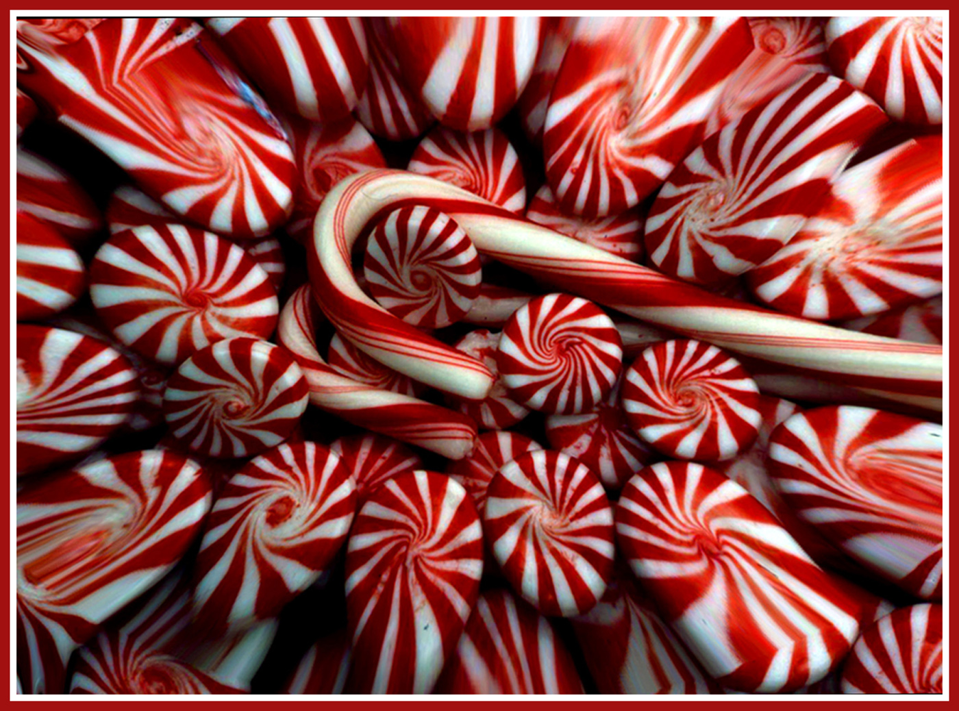 Candy canes and candy mints by Shirley Ward