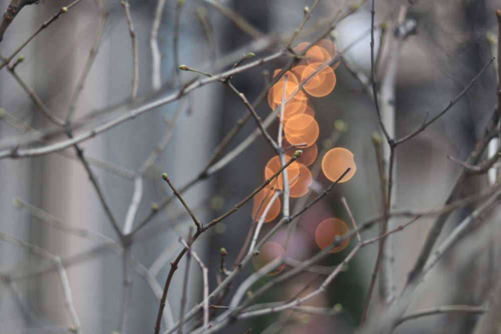 April 2026 - Oleg Mamaev