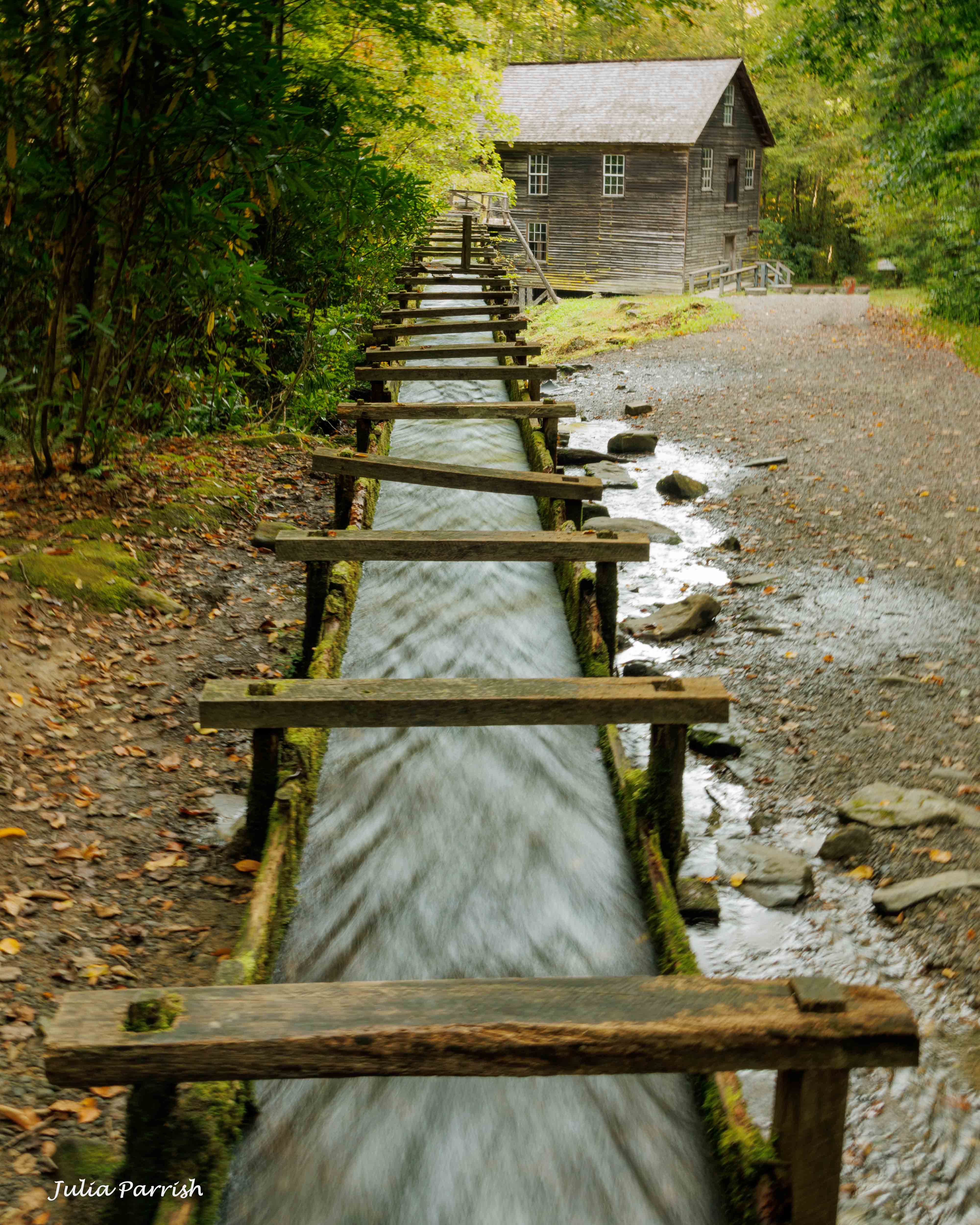 Mingus Mills by Julia Parrish