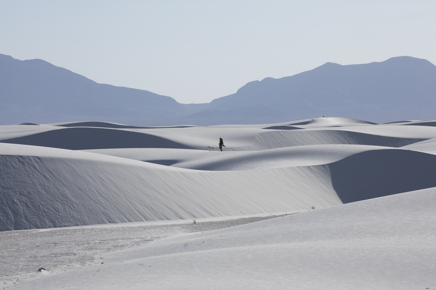 December 2025 - Jill Attaway