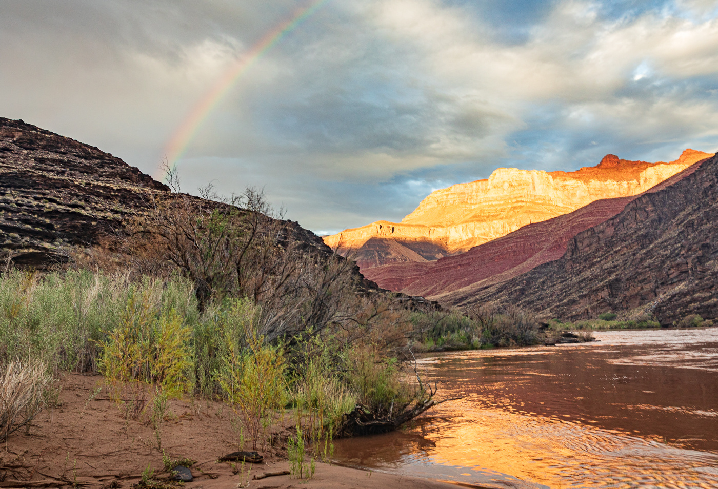 Rainbow Promise by Jill Attaway