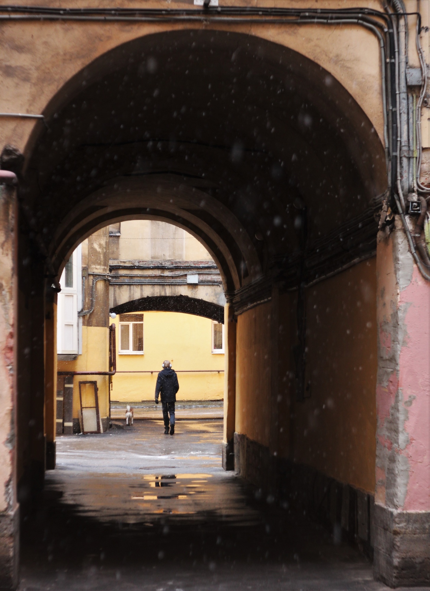 The sadness of the first snow by Oleg Mamaev