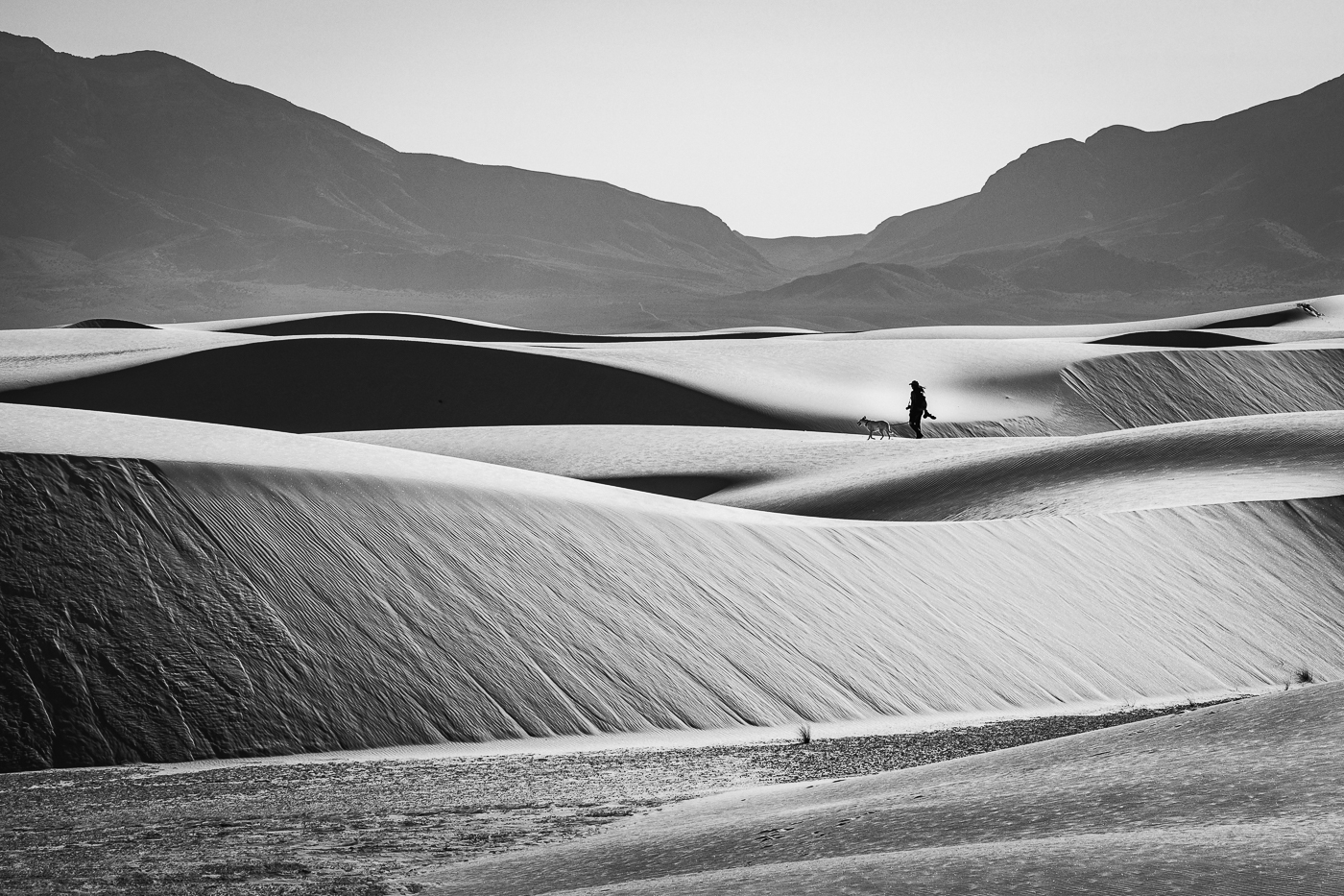 Vastness of the Dunes by Jill Attaway