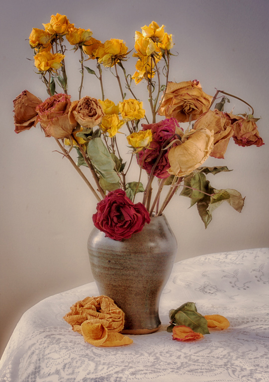 DRIED ROSES