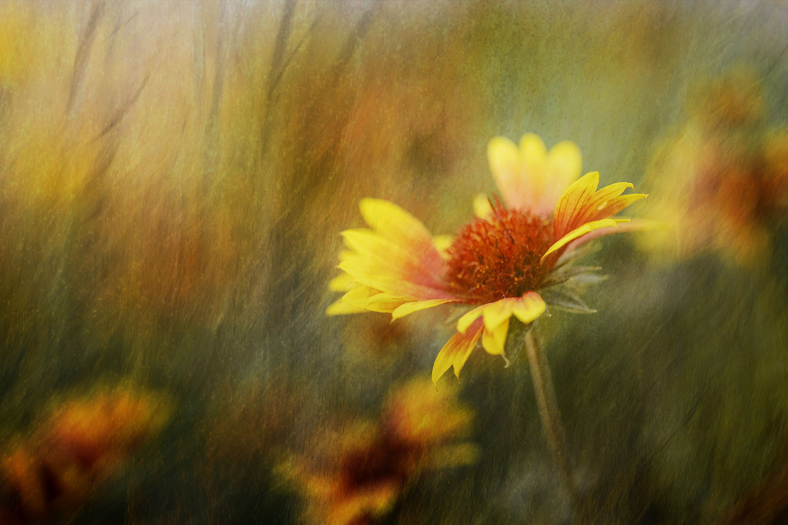 EARLY MORNING by Jennifer Haralamos