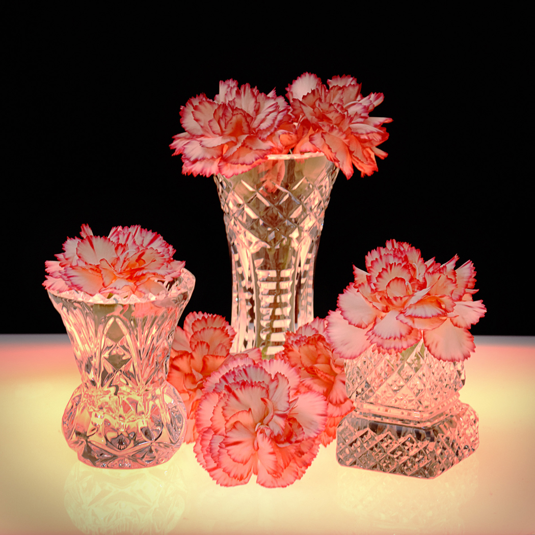 GLASD N FLOWERS by Donald Darling Jr