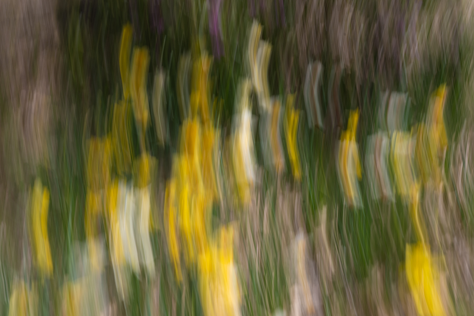 MONETMeNo by Donald Darling Jr