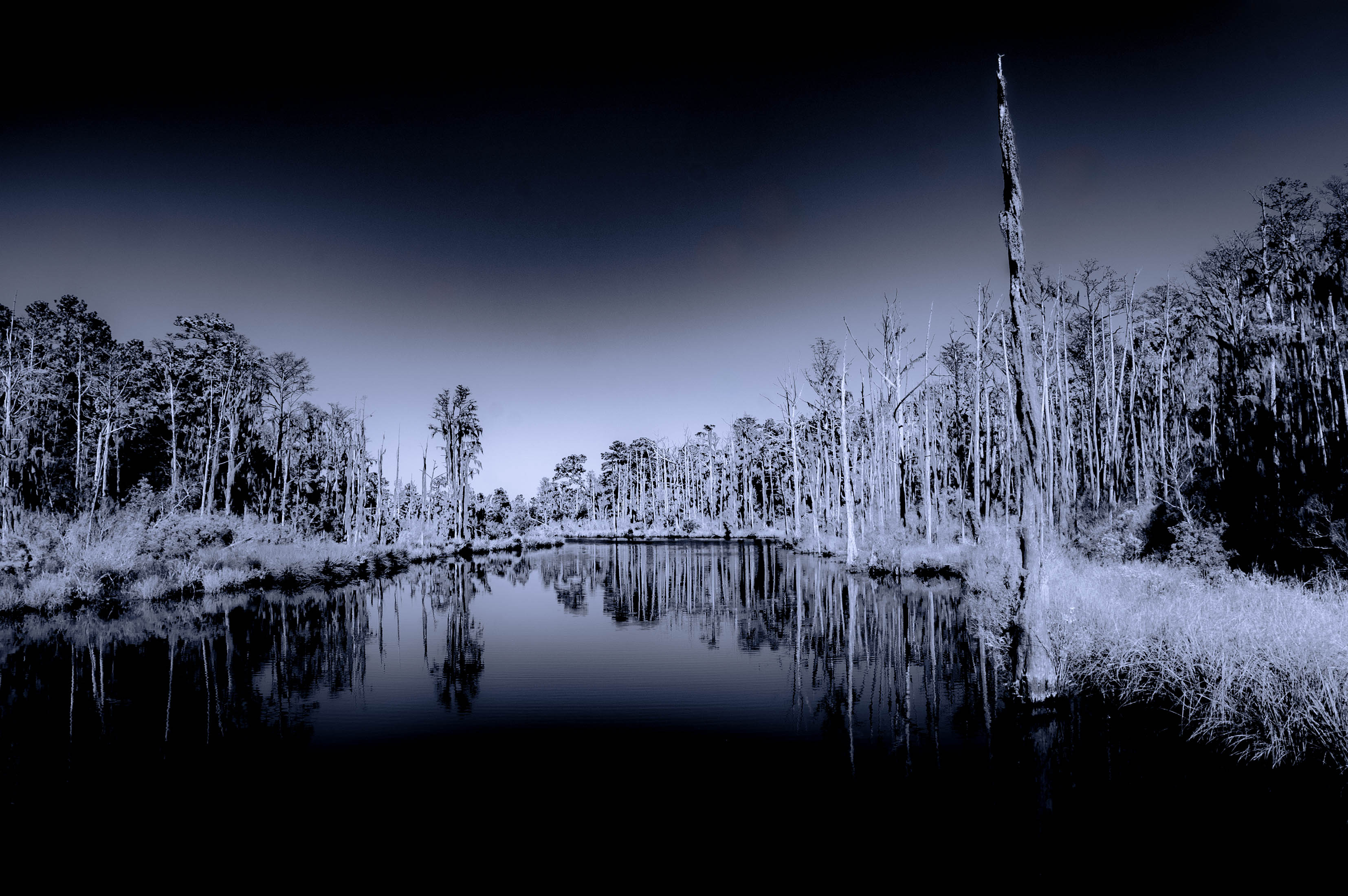 Duck Creek, NC by Bollin Millner