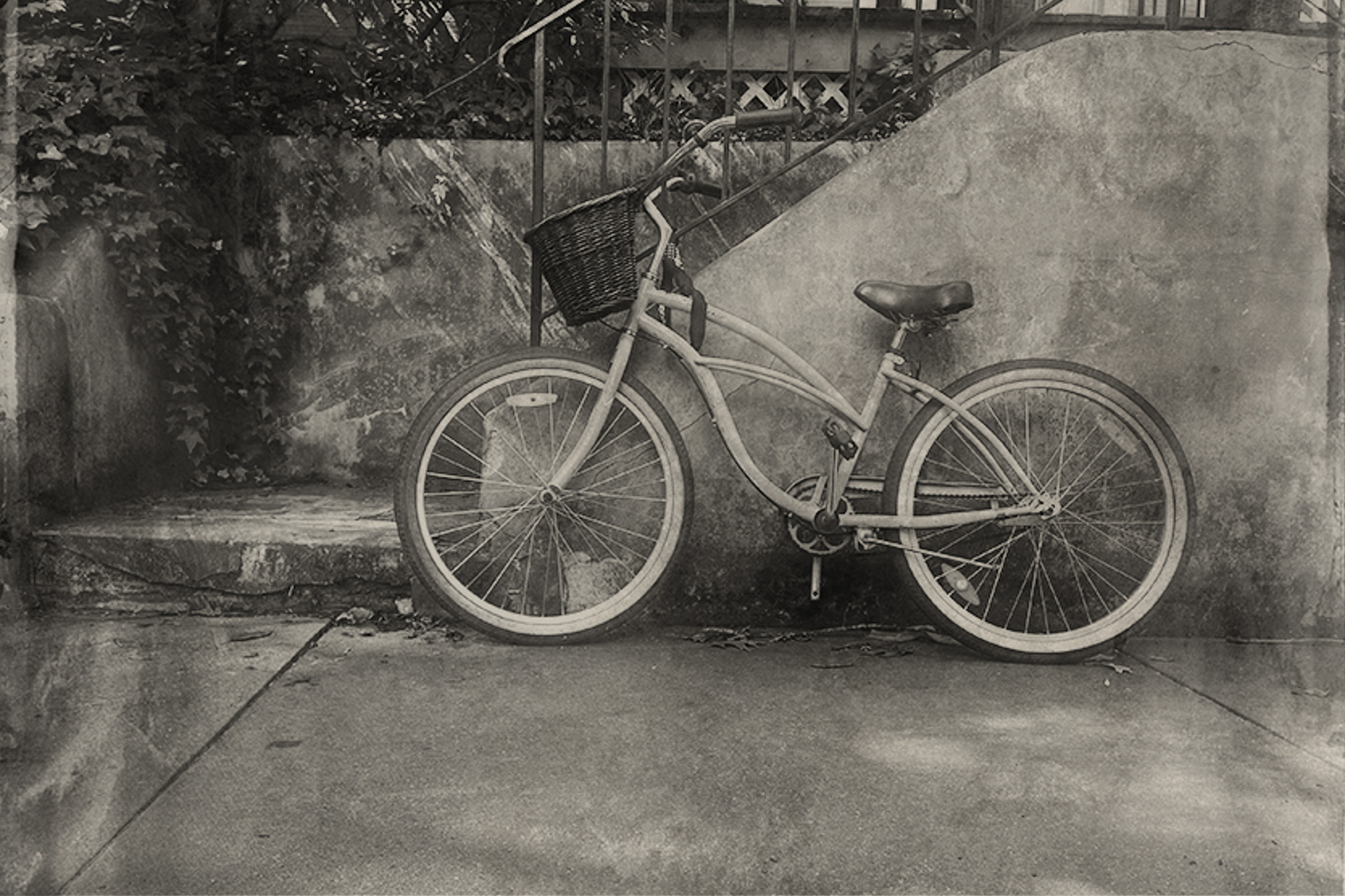 Bicycle by Bollin Millner