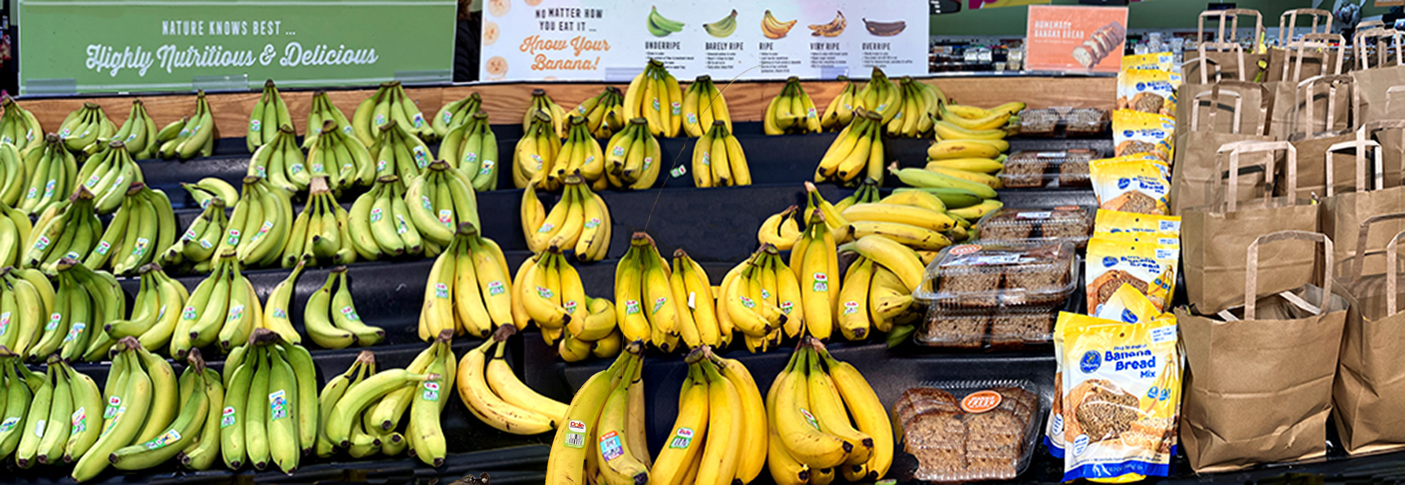 Banana Timeline by Audrey Waitkus