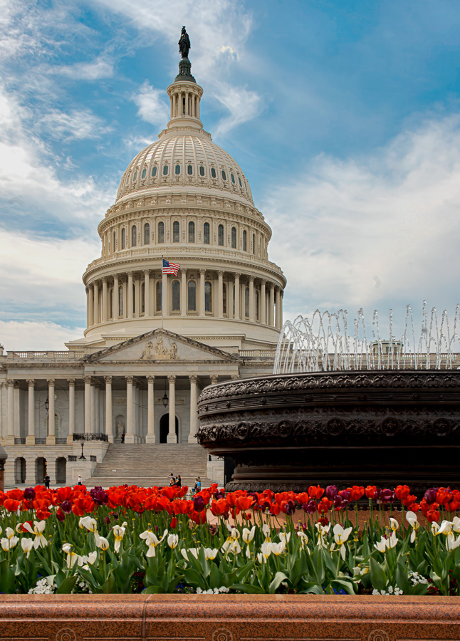 East Side of Capital in Spring by Eric Schweitzer