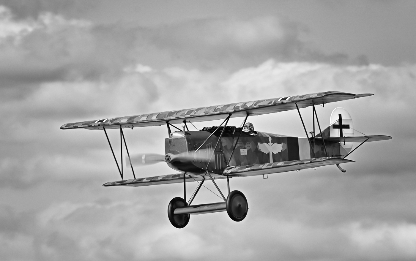 Fokker D VII by Brian Parkin, QPSA