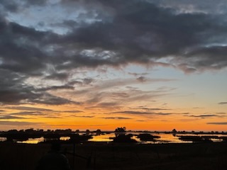 Sunrise at Merced Wildlife Refuge by Jennie Wang