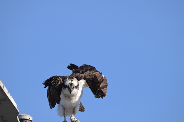 November 2025 - Jennie Wang