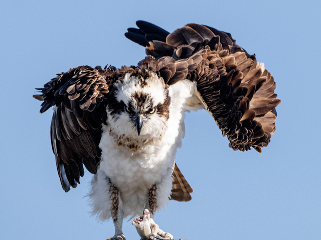 November 2025 - Jennie Wang