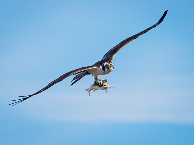 November 2025 - Jennie Wang