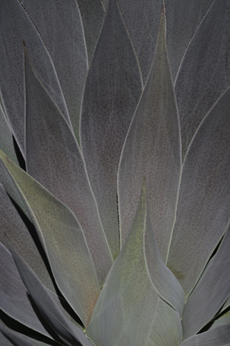 April 2026 - Jennie Wang