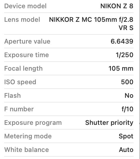 December 2025 - Jennie Wang