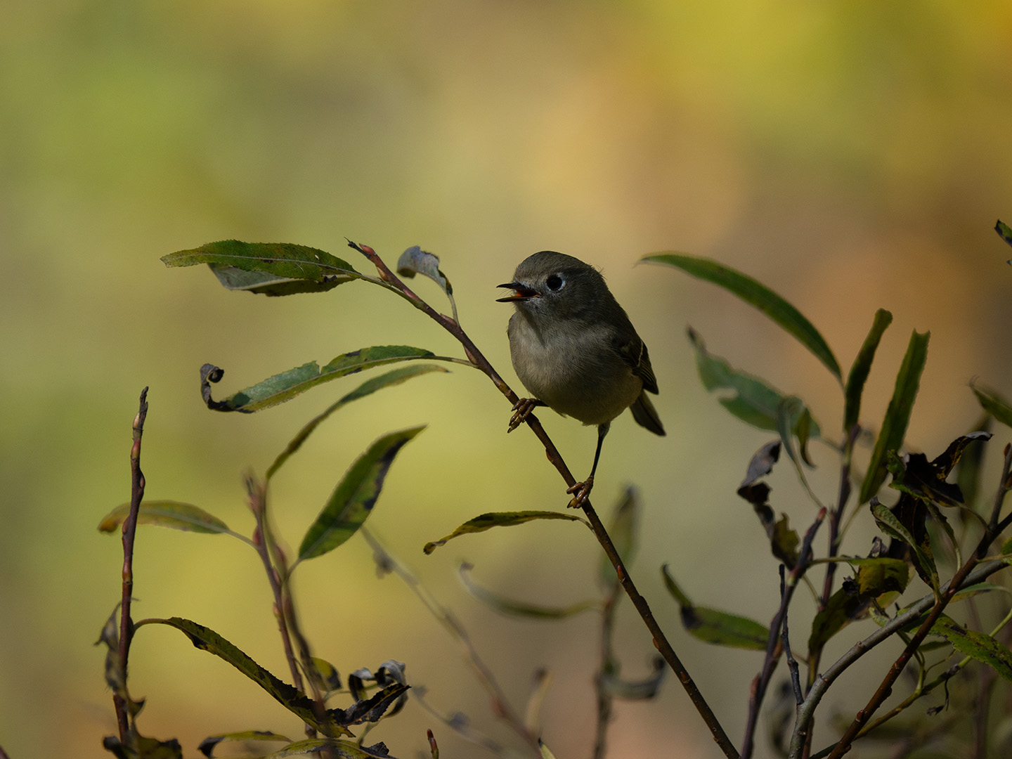 November 2025 - Jeremy Martin