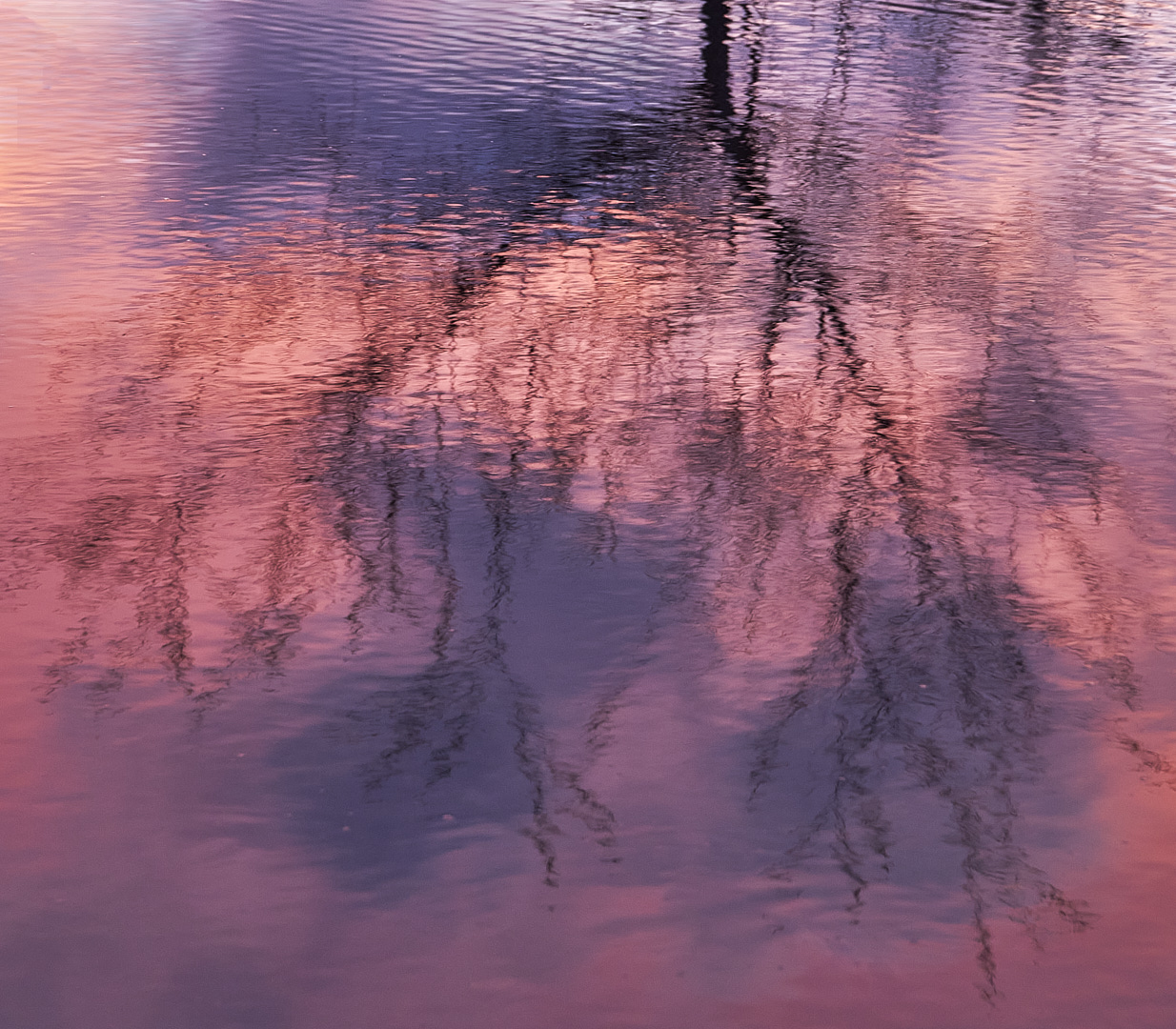 Reflections by Andy Patterson
