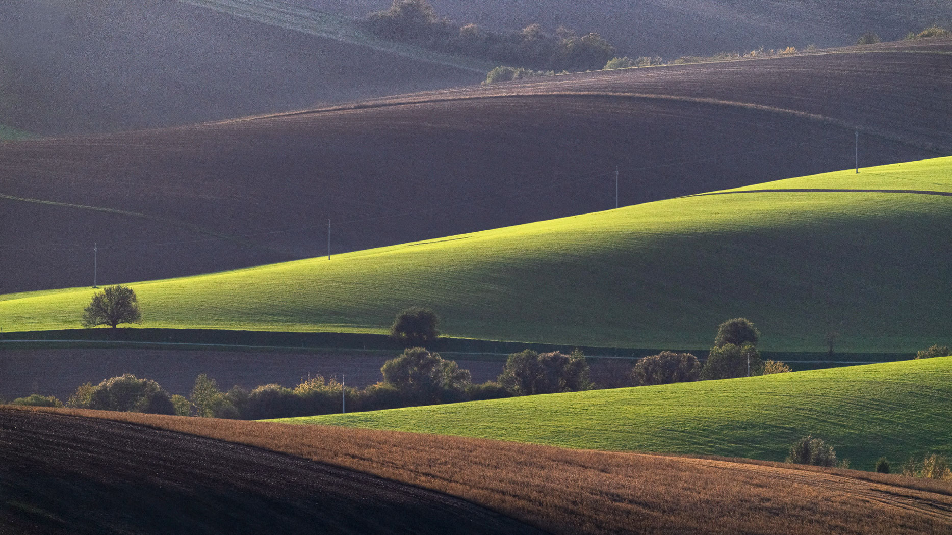 The rolling hills of Morovia in the Czech Republic by Anges van der Logt