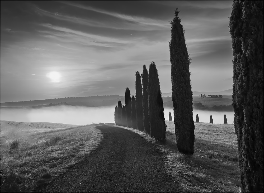 The Road Into the Fog by Bob Benson