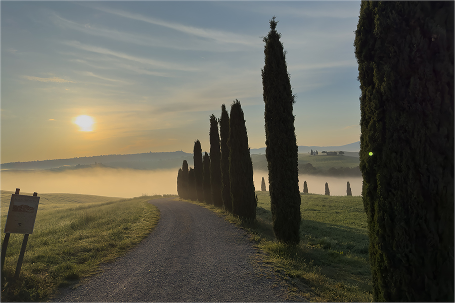 December 2025 - Bob Benson, FPSA, EPSA