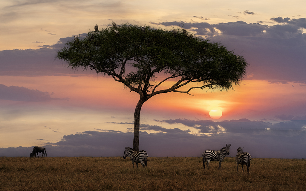 Maasai Mara Sunset by Mervyn Hurwitz