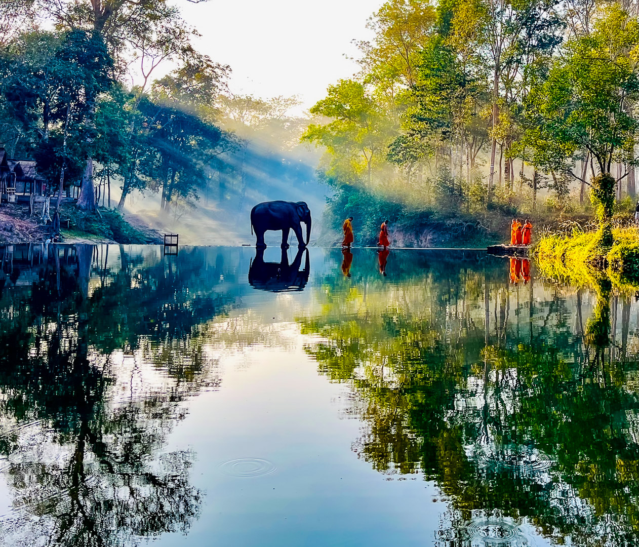 Laotian monks at dawn