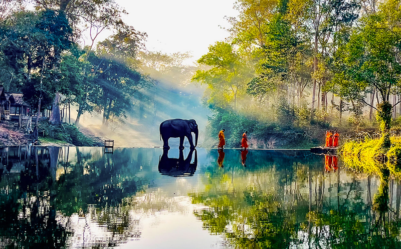 Comment Image