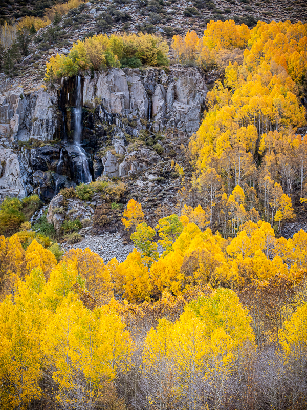 Autumn Waterfall by Lauren Heerschap