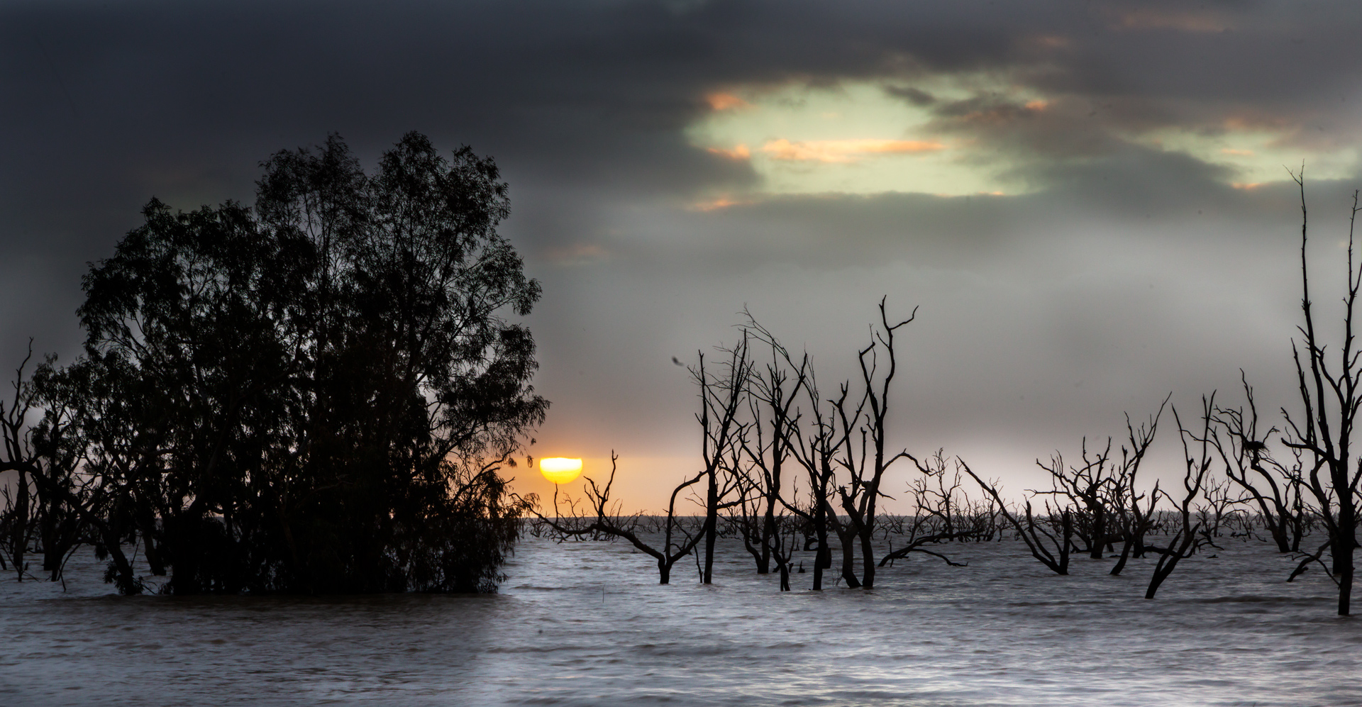 Sunset at Menindee by Danny Dunne, QPSA