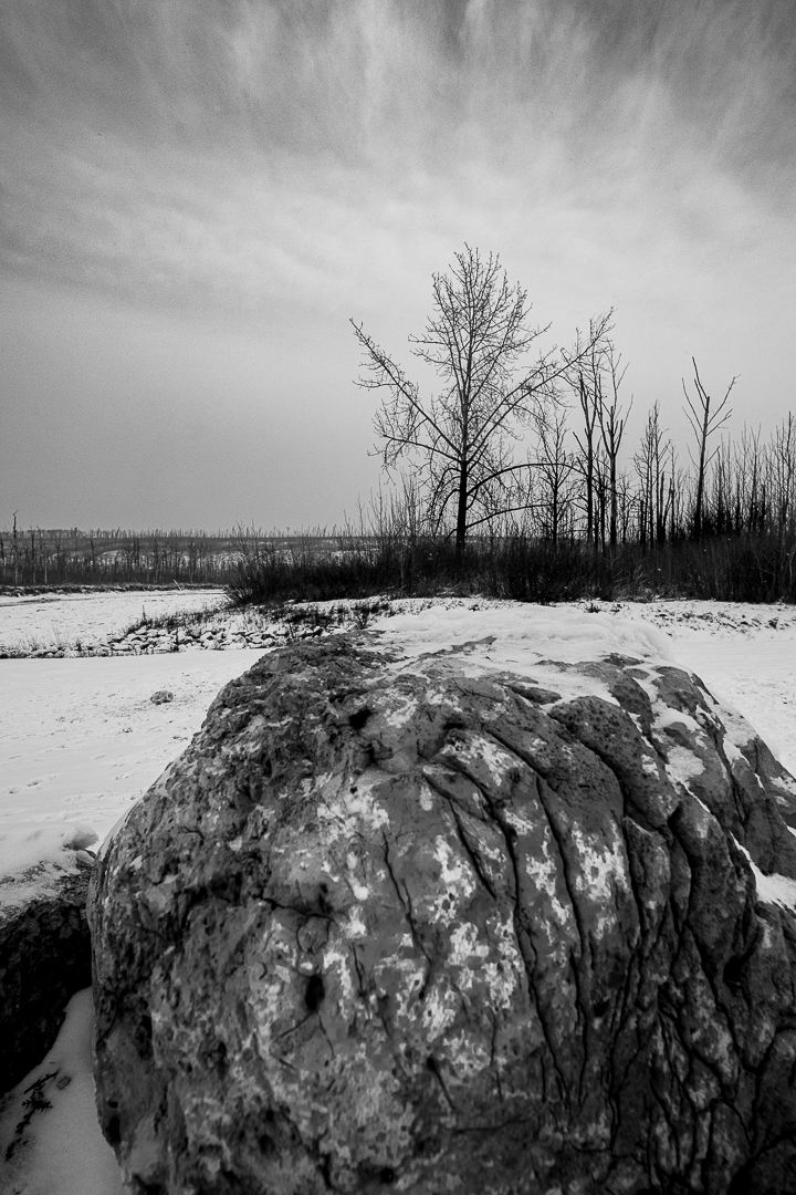 Rock in Snow by Rizwan Choudhry