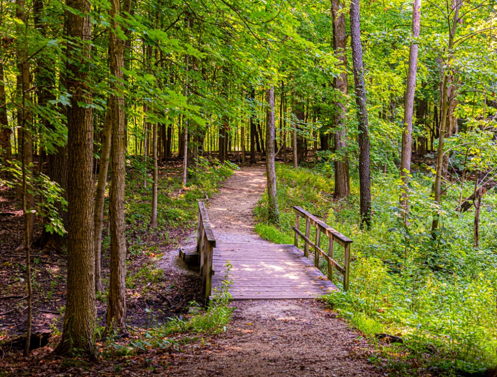 Bridge by Jan van Leijenhorst