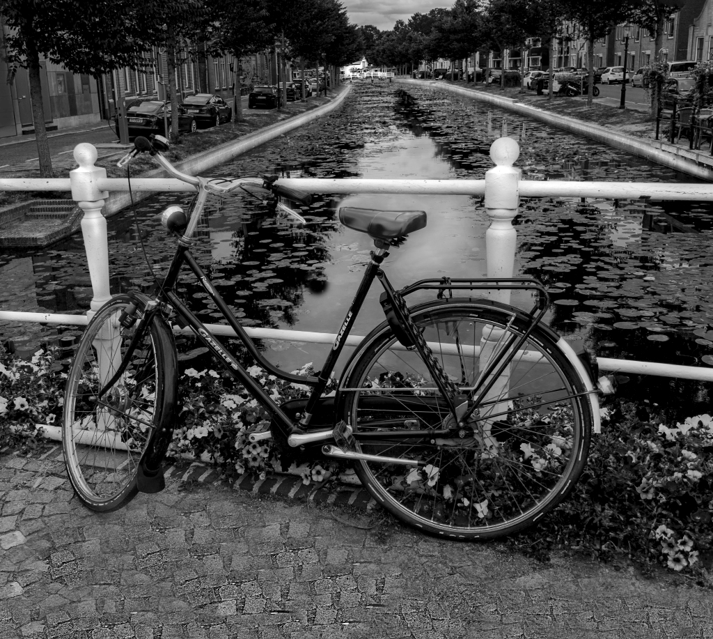 Amsterdam Bike by Renee Schaefer