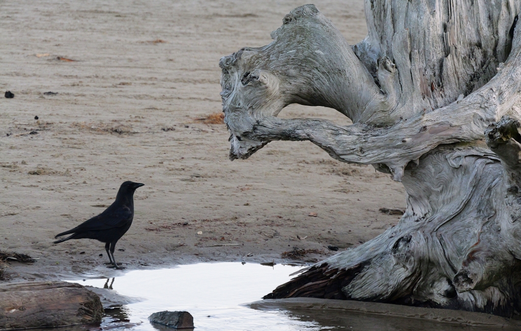 April 2026 - Becca Cambridge