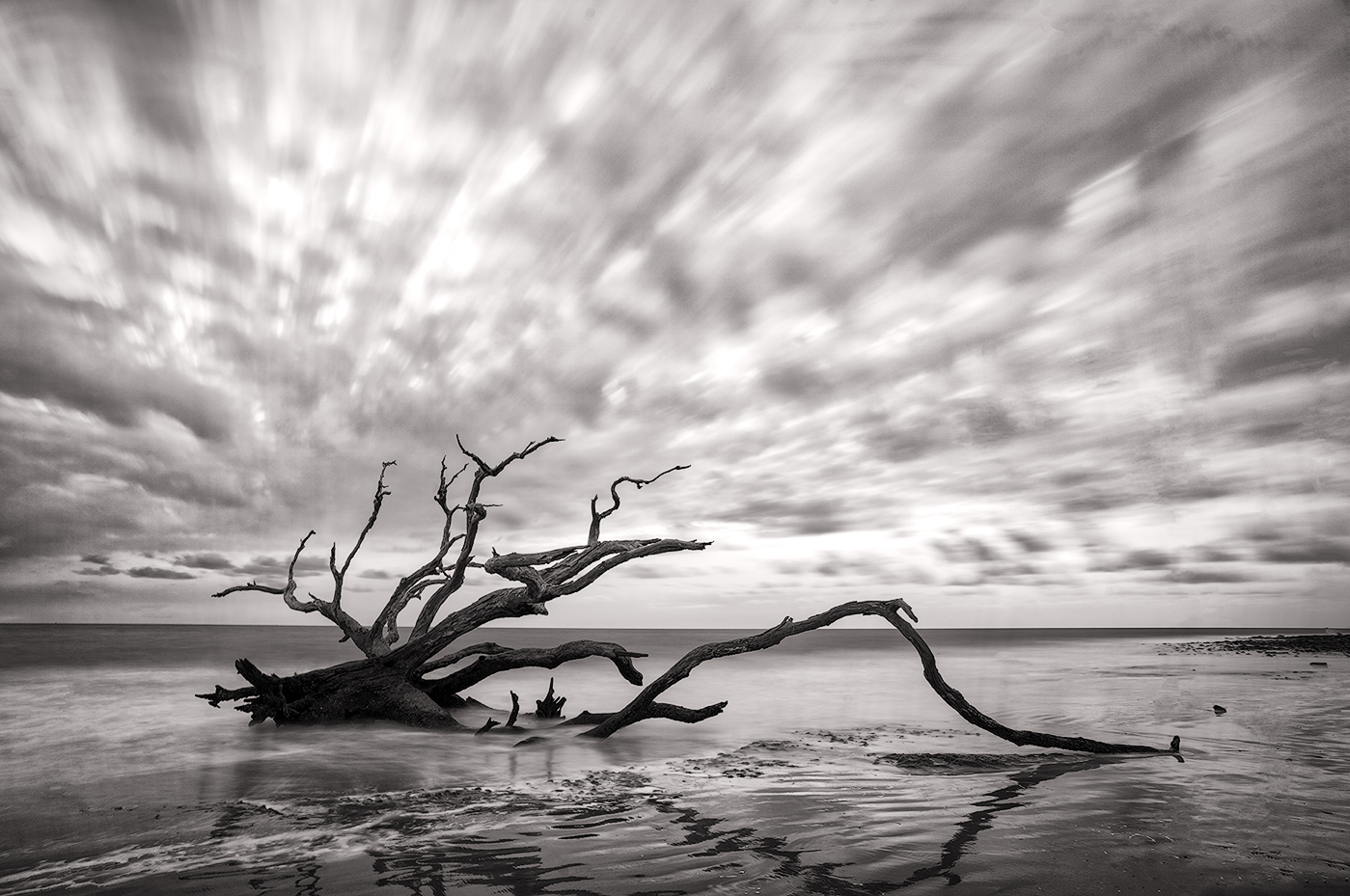 Driftwood Beach by Brad Ashbrook