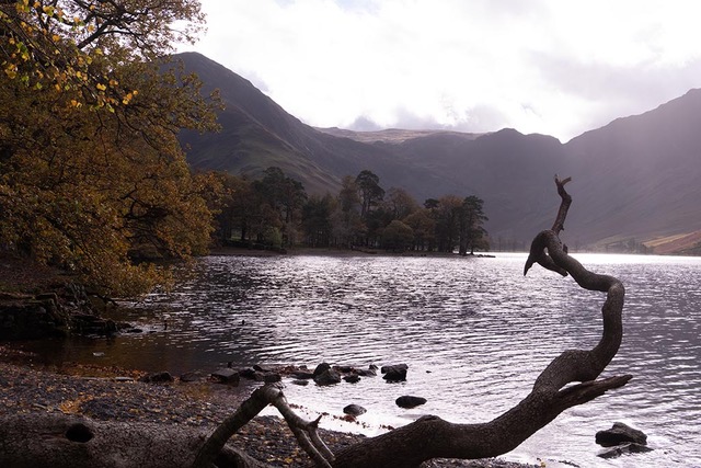 December 2025 - Jon Allanson