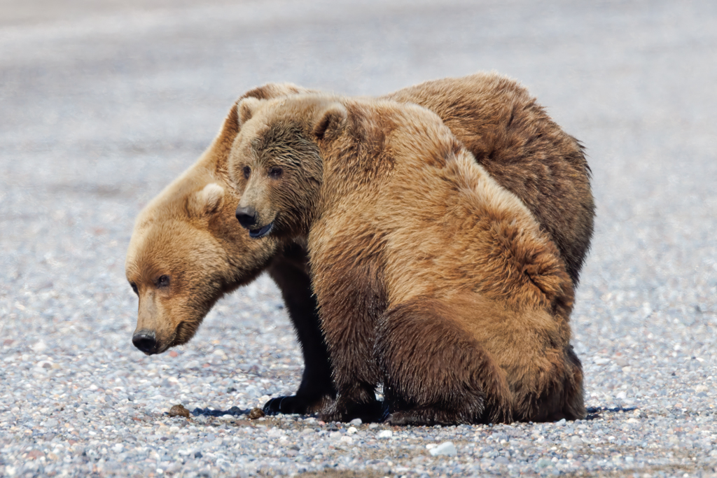 Friends by Deborah Milburn