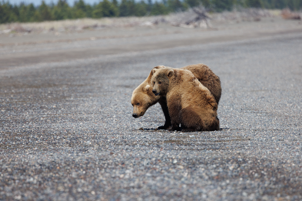 April 2026 - Deborah Milburn