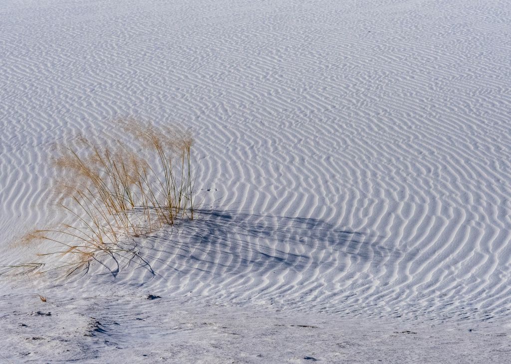 Abstract in Sand by Kathy Brand