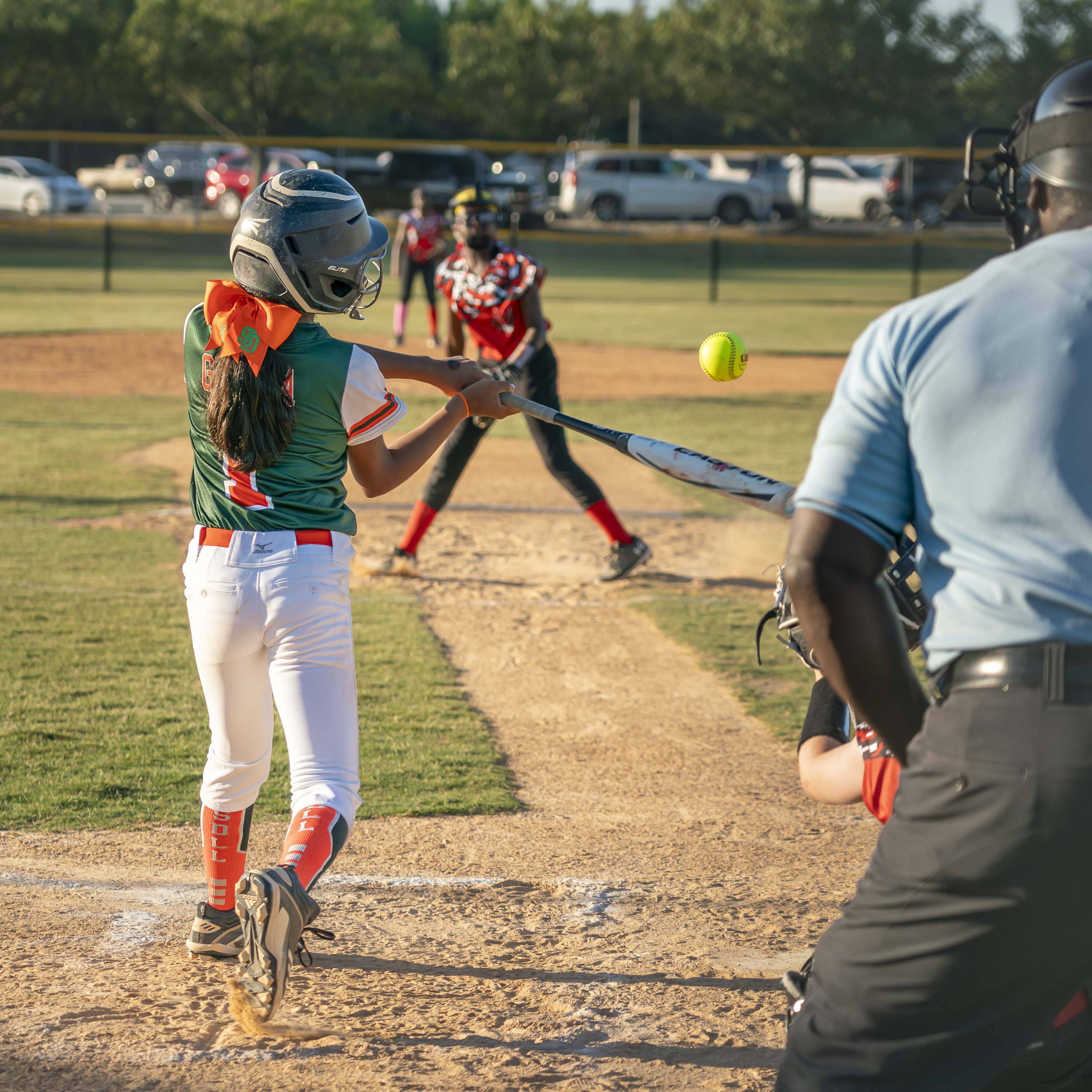 Batter Up by Steve Long