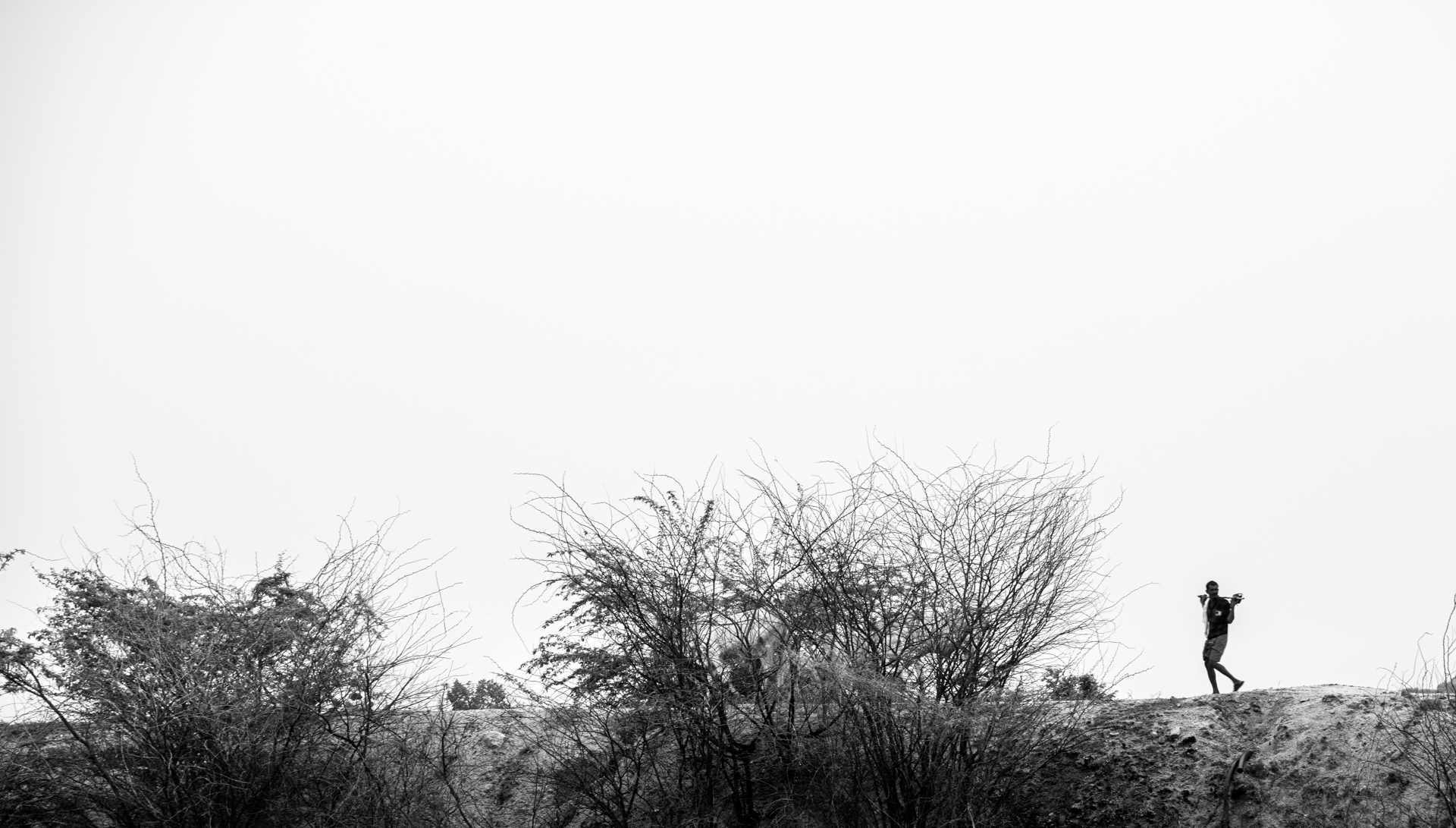 The Forgotten Road