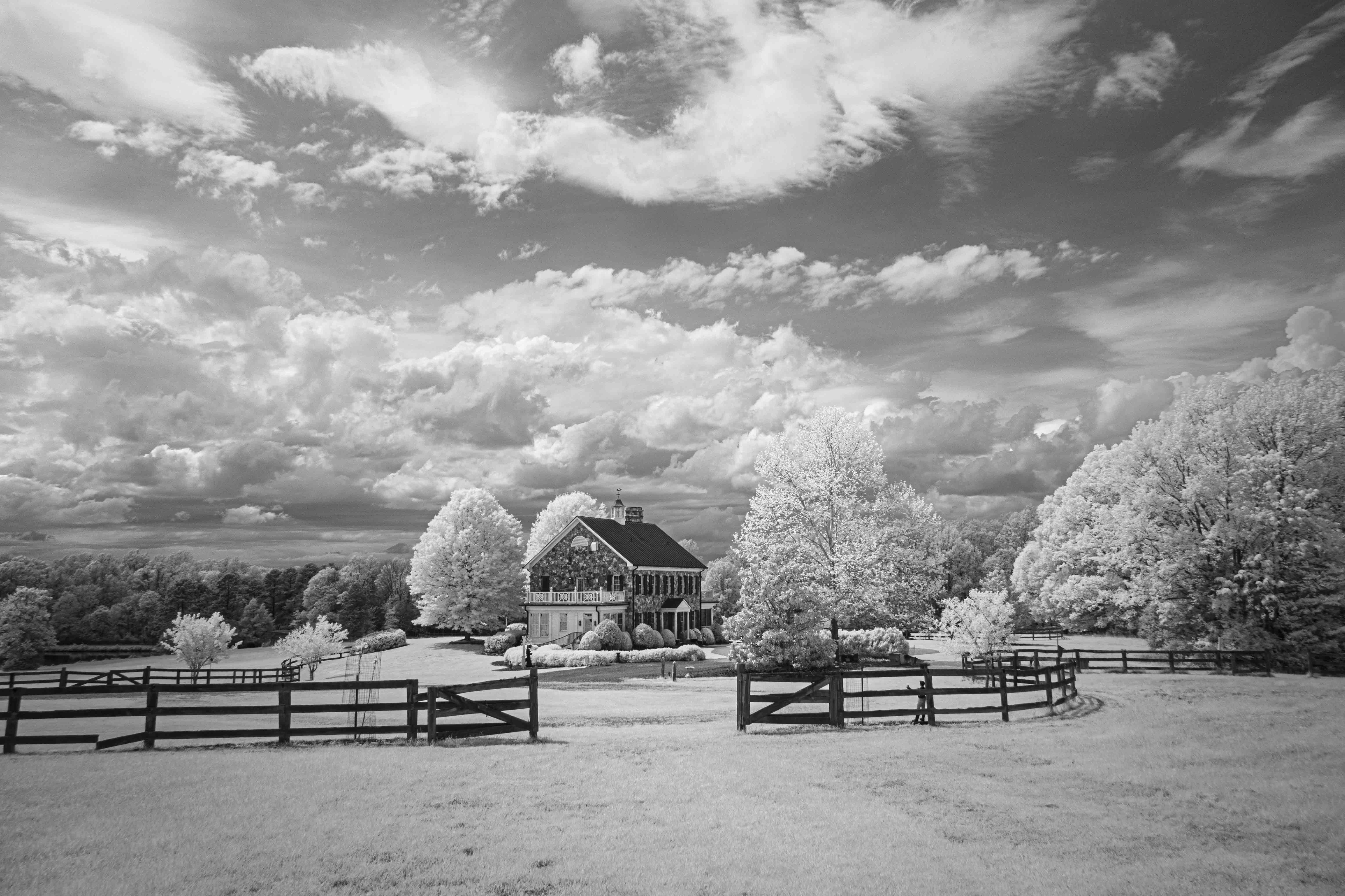 InfraRed by Steve Long