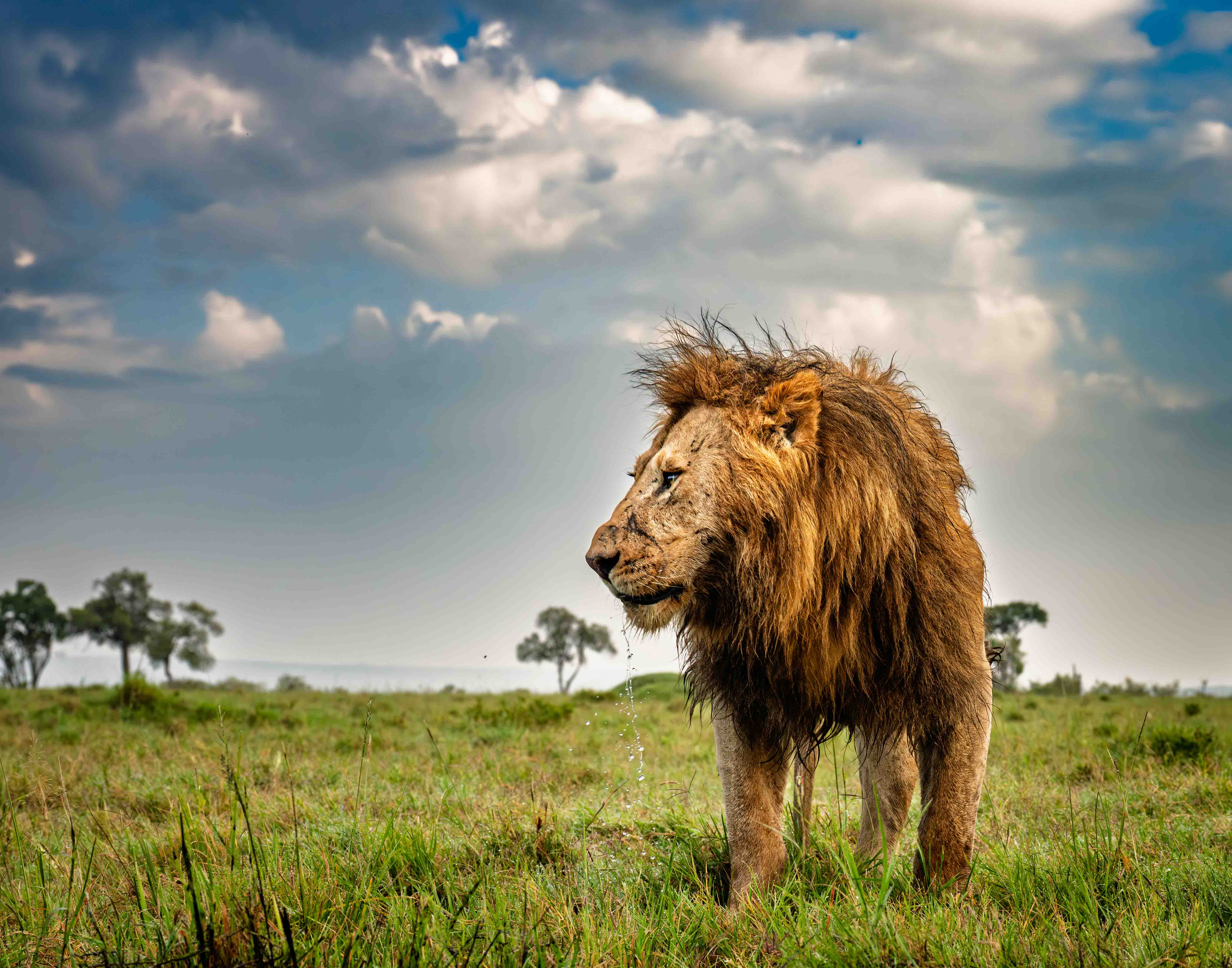 A Cool Drink of Water by Steve Long