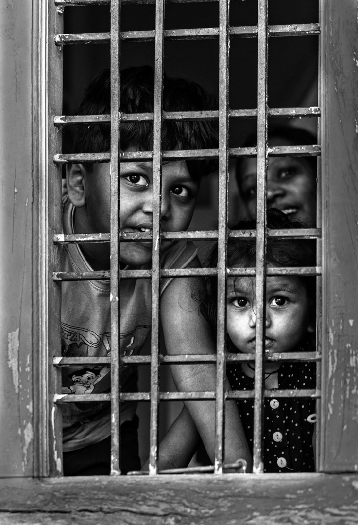 Windows of Curiosity