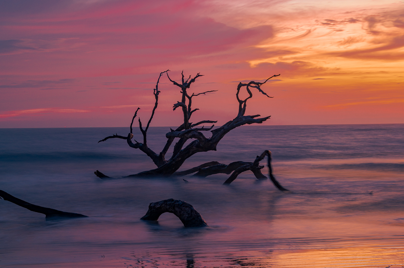 Driftwood Beach, GA Sunrise#707 by Bob Legg